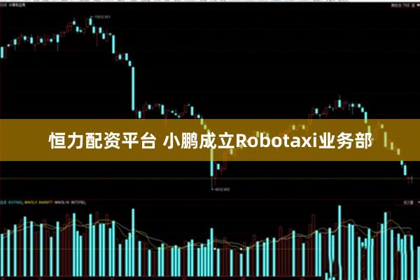 恒力配资平台 小鹏成立Robotaxi业务部